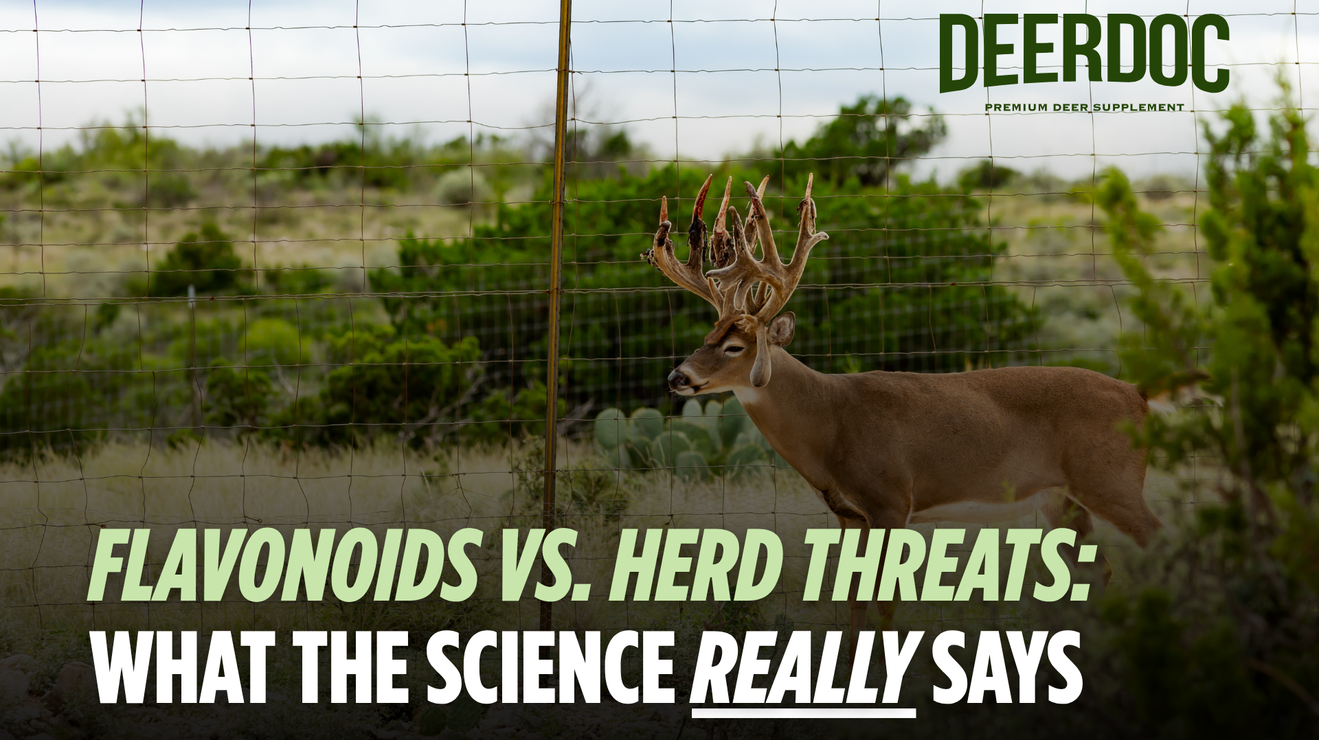 Flavonoids vs. Herd Threats: What the Science Really Says