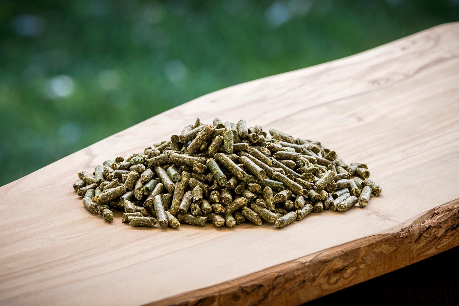 The Natural Power of Flavonoids for Herd Health